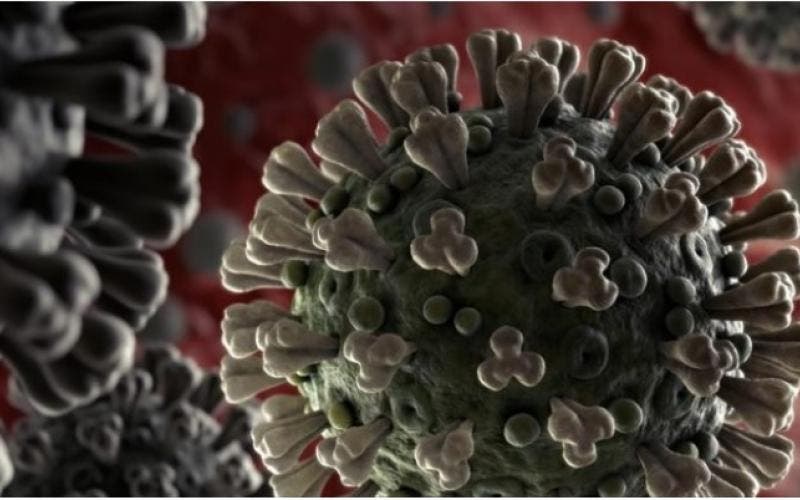 coronavirus-ministerio-da-saude_48.jpg?profile=RESIZE_710x